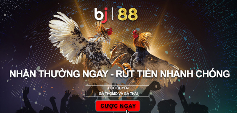 Bj38 nạp rút tiền nhanh