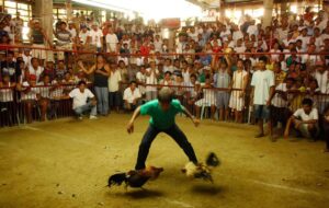 Giải Quyết Vấn Đề Nâng Cao: Chọn Lọc & Loại Bỏ (Culling)