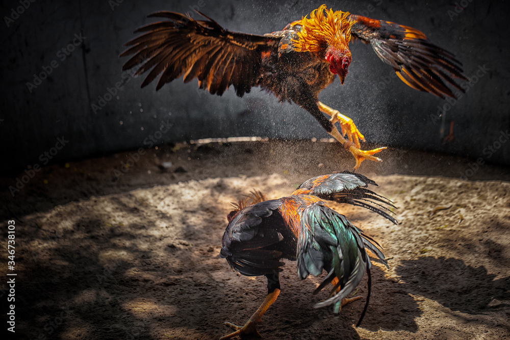 Giải Quyết Vấn Đề Nâng Cao & Lời Khuyên