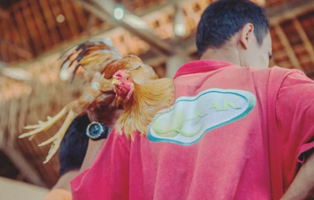 Đảm bảo môi trường sống và chế độ nghỉ ngơi