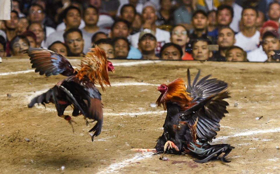 Chế độ dinh dưỡng chuyên biệt: "Thóc ngâm là gốc, rau xanh là bổ"