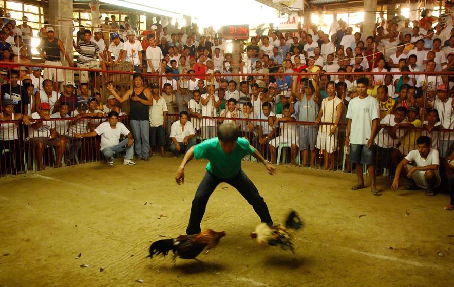 Tăng cường các bài tập vận động đốt cháy mỡ thừa