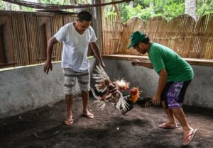 Chế độ dinh dưỡng phục hồi chuyên biệt