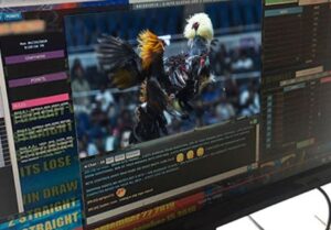 Kỹ thuật Massage, Vần vỗ và Phơi nắng định kỳ