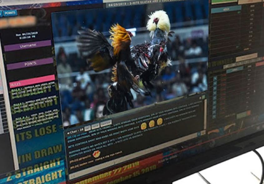 Kỹ thuật Massage, Vần vỗ và Phơi nắng định kỳ