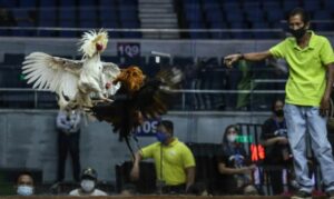 Tăng cường cường độ vận động: "Vần xoay vòng, tập có kế hoạch"