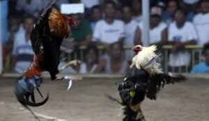 Phương pháp om bóp bằng thảo dược truyền thống