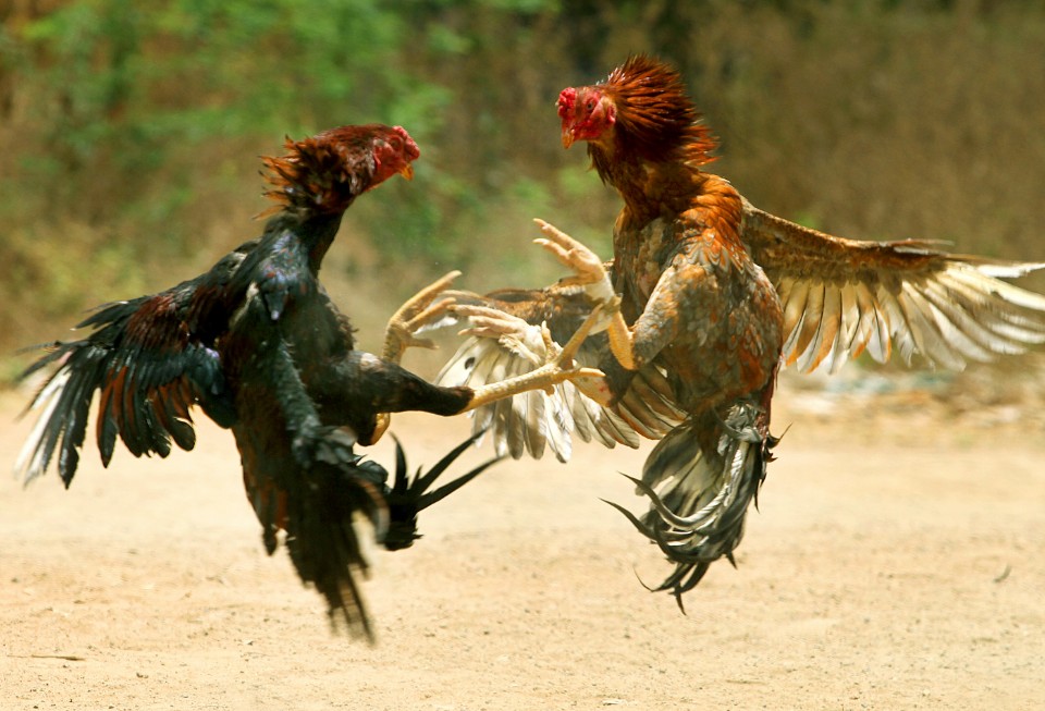 Lời Khuyên "Xương Máu" Từ Kinh Nghiệm