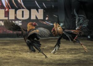 Nhận biết sớm các triệu chứng bệnh để xử lý kịp thời