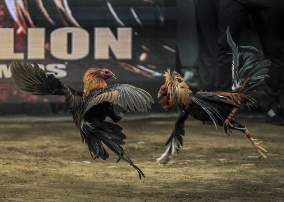 Nhận biết sớm các triệu chứng bệnh để xử lý kịp thời