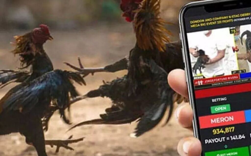 Những lưu ý "nằm lòng" từ các bậc tiền bối (Kinh Kê Diễn Nghĩa)